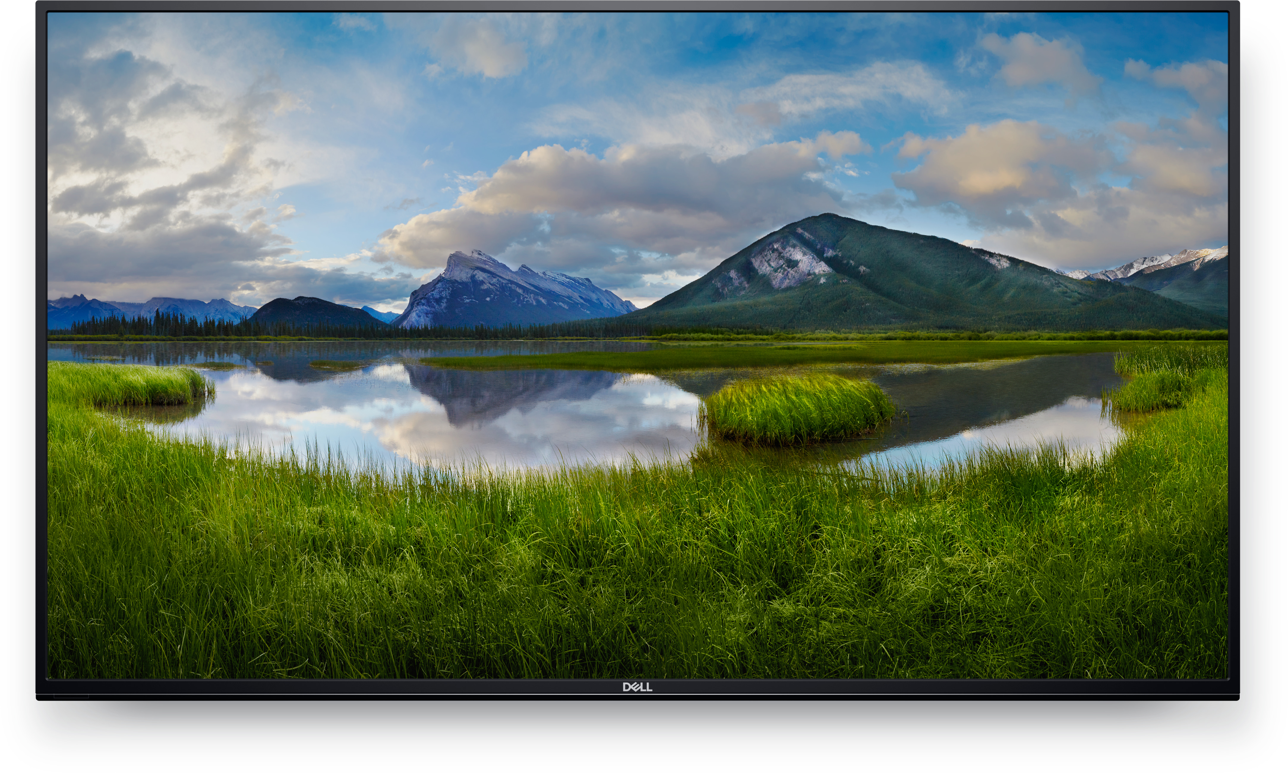 Dell C5519QA - 139.7 cm (55") Diagonalklasse (139.7 cm (54.6")