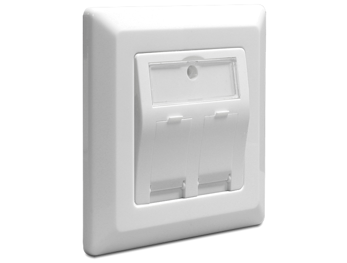 Delock Keystone Wall Outlet - Wanddose - weiß