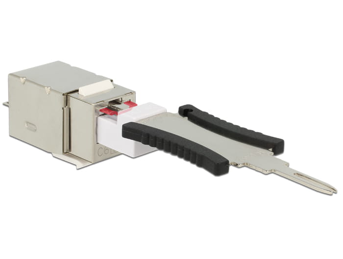 Delock Modulare Eingabe - CAT 6 - STP - RJ-45