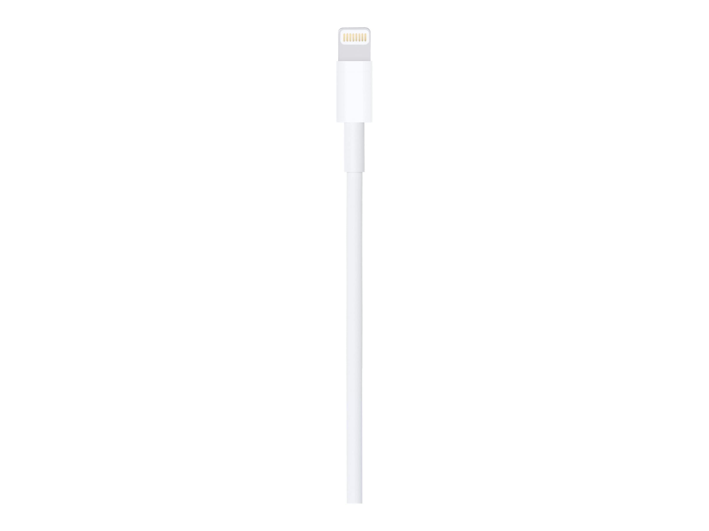 Apple Lightning-Kabel - Lightning männlich