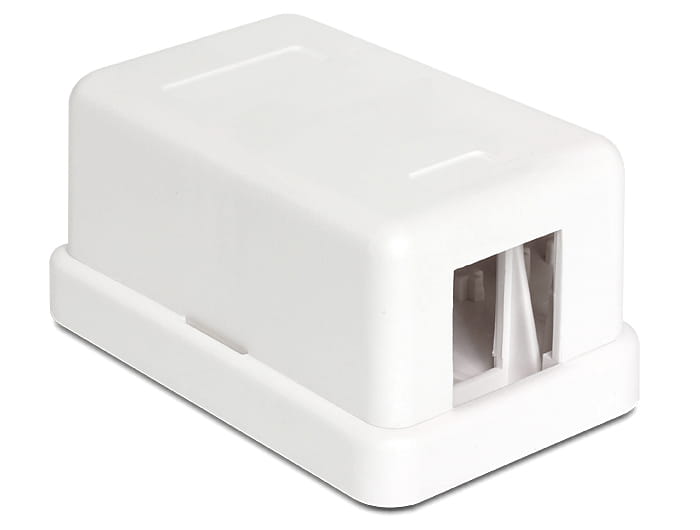 Delock Keystone Surface Mounted Box - Gehäuse