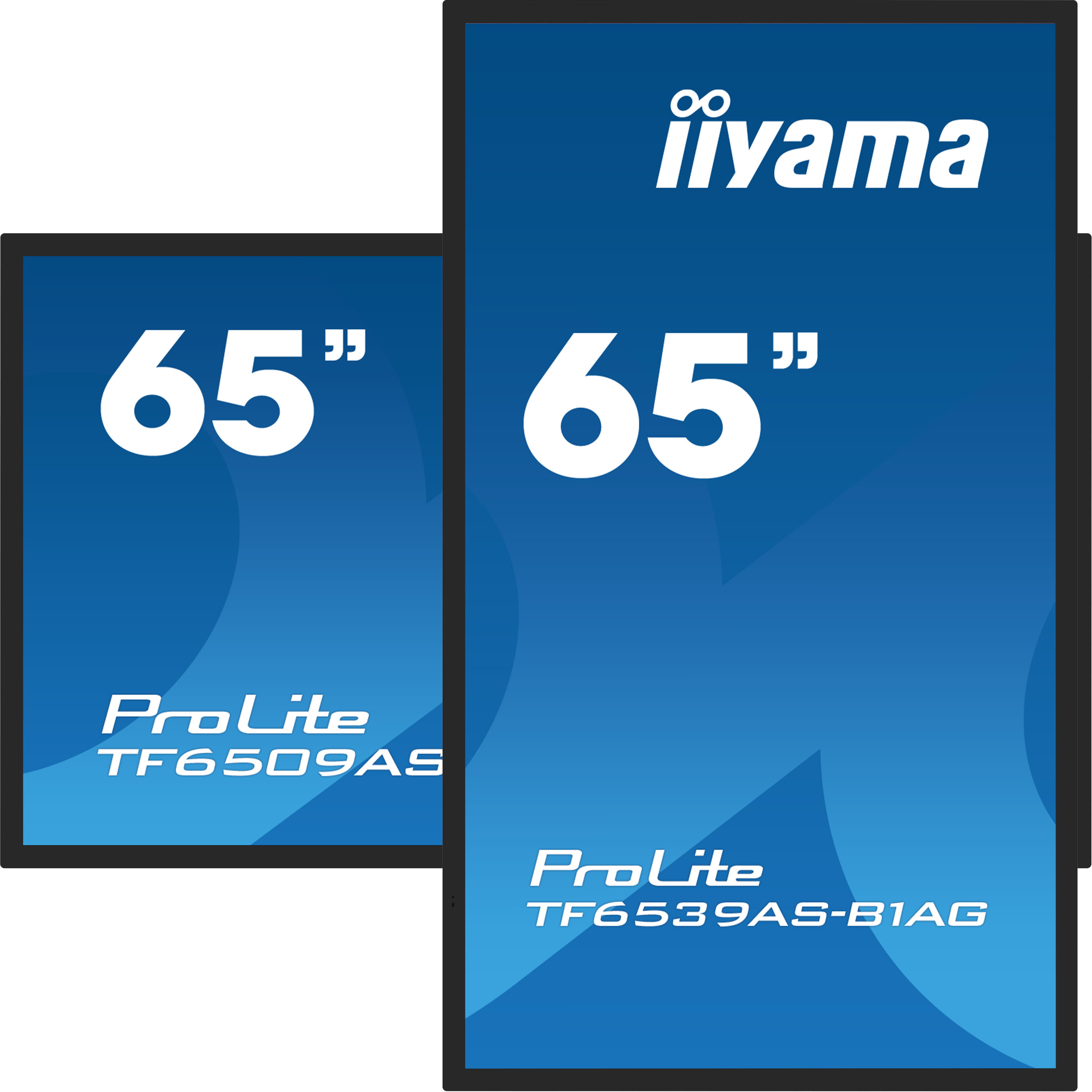Iiyama ProLite TF6539AS-B1AG - 165 cm (65") Diagonalklasse (163.8 cm (64.5")