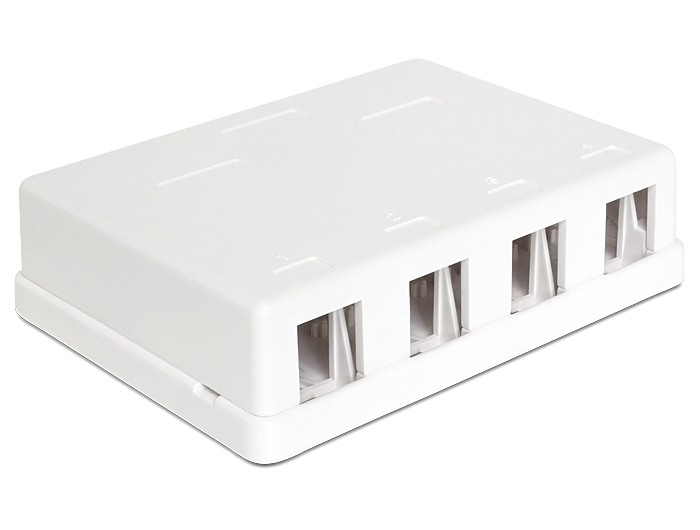 Delock Keystone Surface Mounted Box - Gehäuse