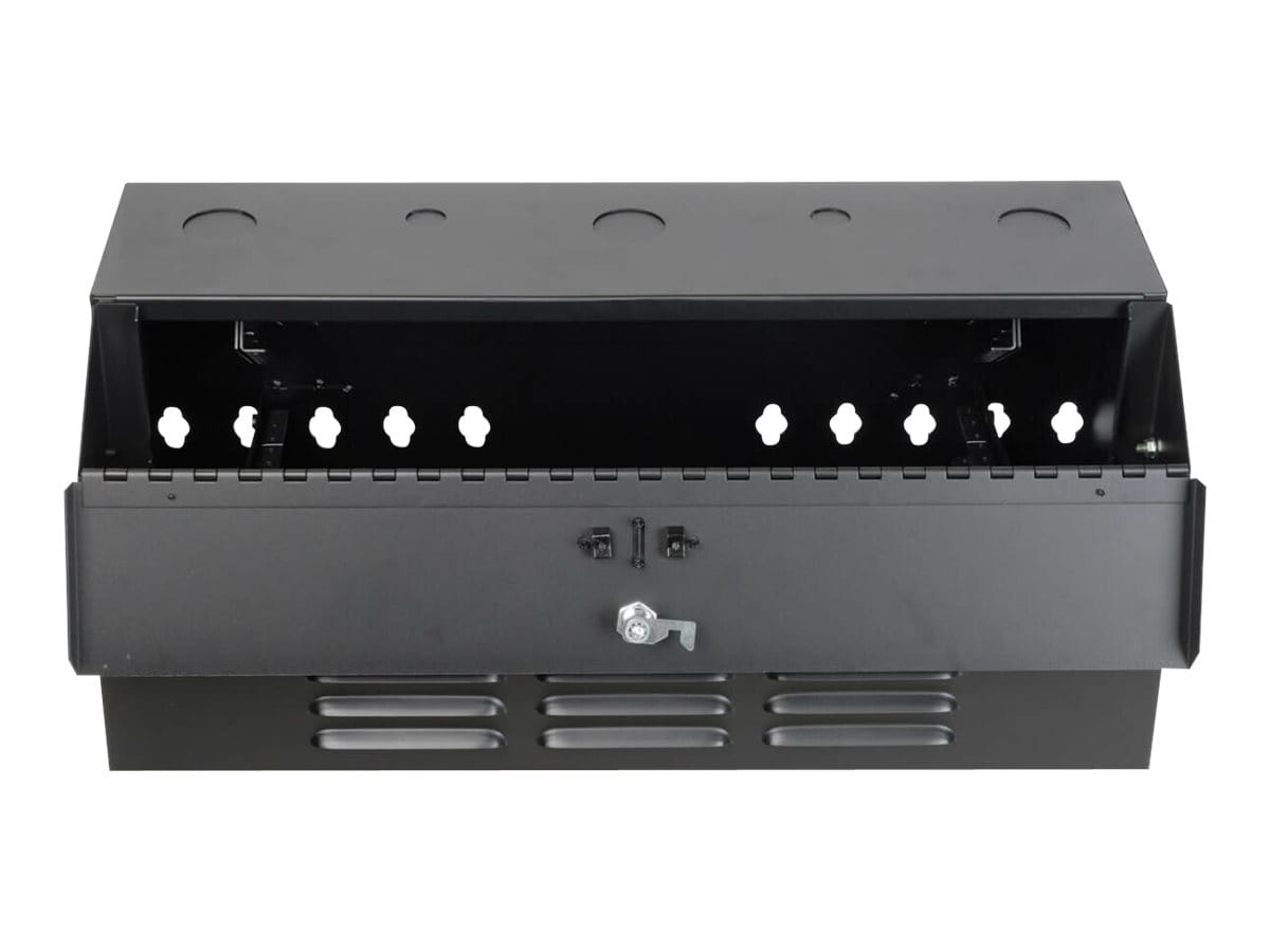 Tripp Eaton Tripp Lite Series 4U Wall Mount Low Profile Secure Rack Enclosure Cabinet Vertical - Schrank Netzwerkschrank - geeignet für Wandmontage - Schwarz - 4U - 48.3 cm (19")
