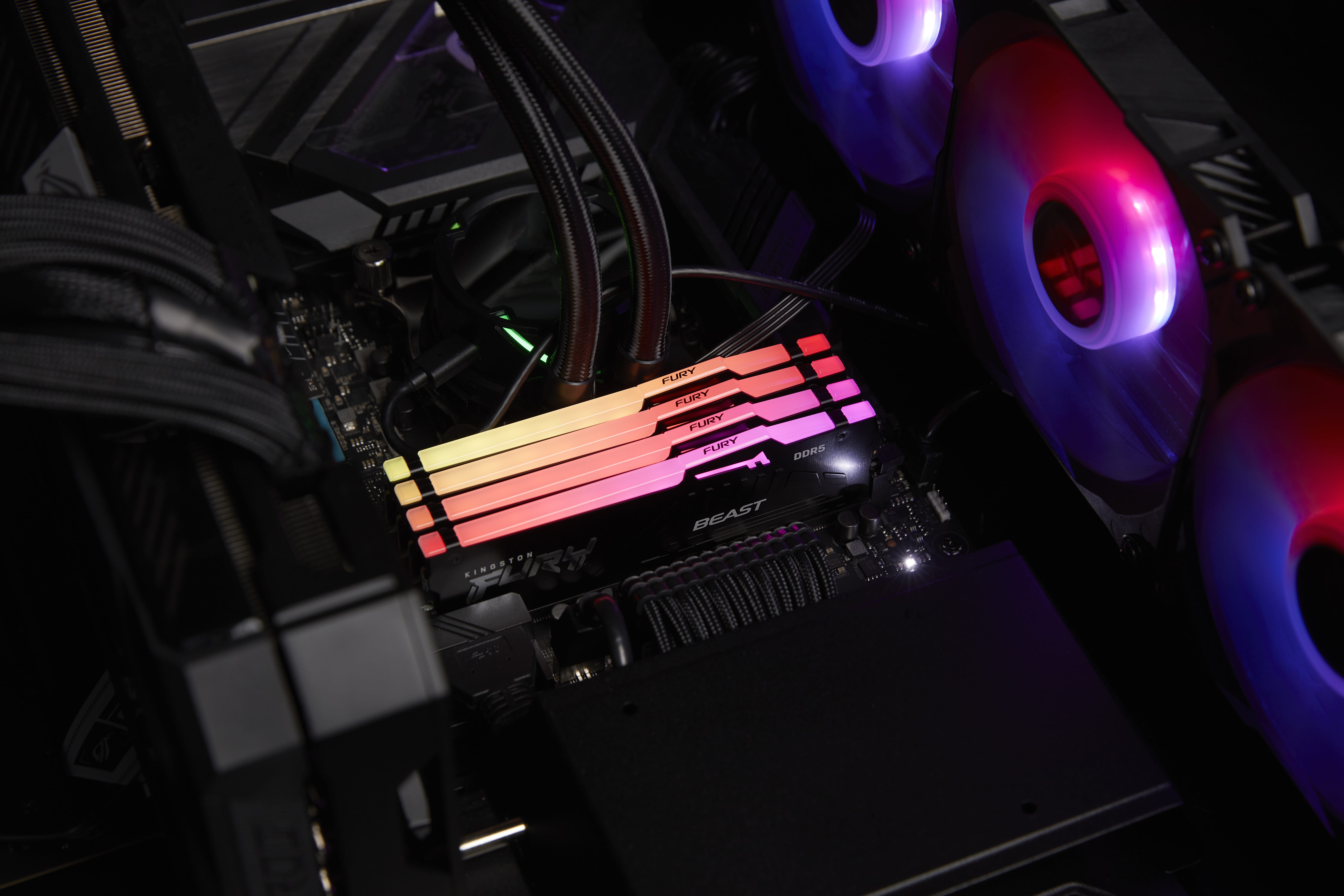 Kingston FURY Beast RGB - DDR5 - Modul - 16 GB