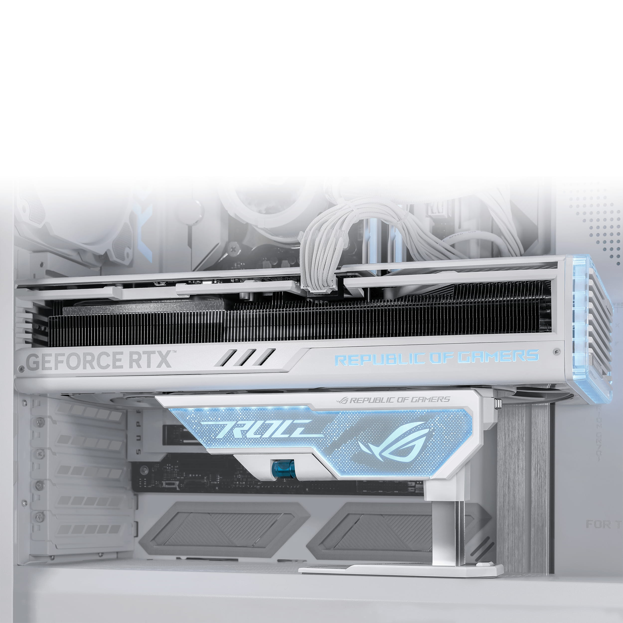 ASUS ROG Herculx XH01 - Kartenhalter - weiß