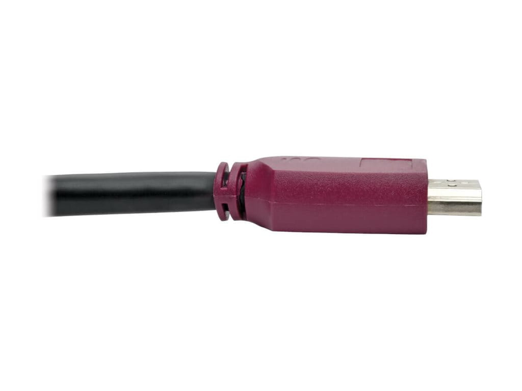 Tripp Eaton Tripp Lite Series 10ft Premium Hi-Speed