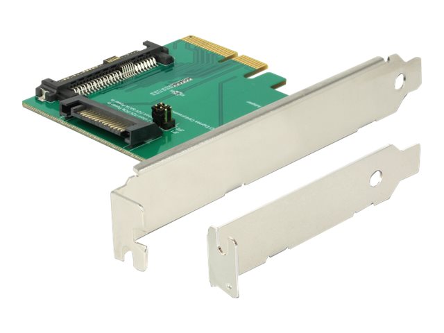 Delock Schnittstellenadapter - Ultra M.2 Card