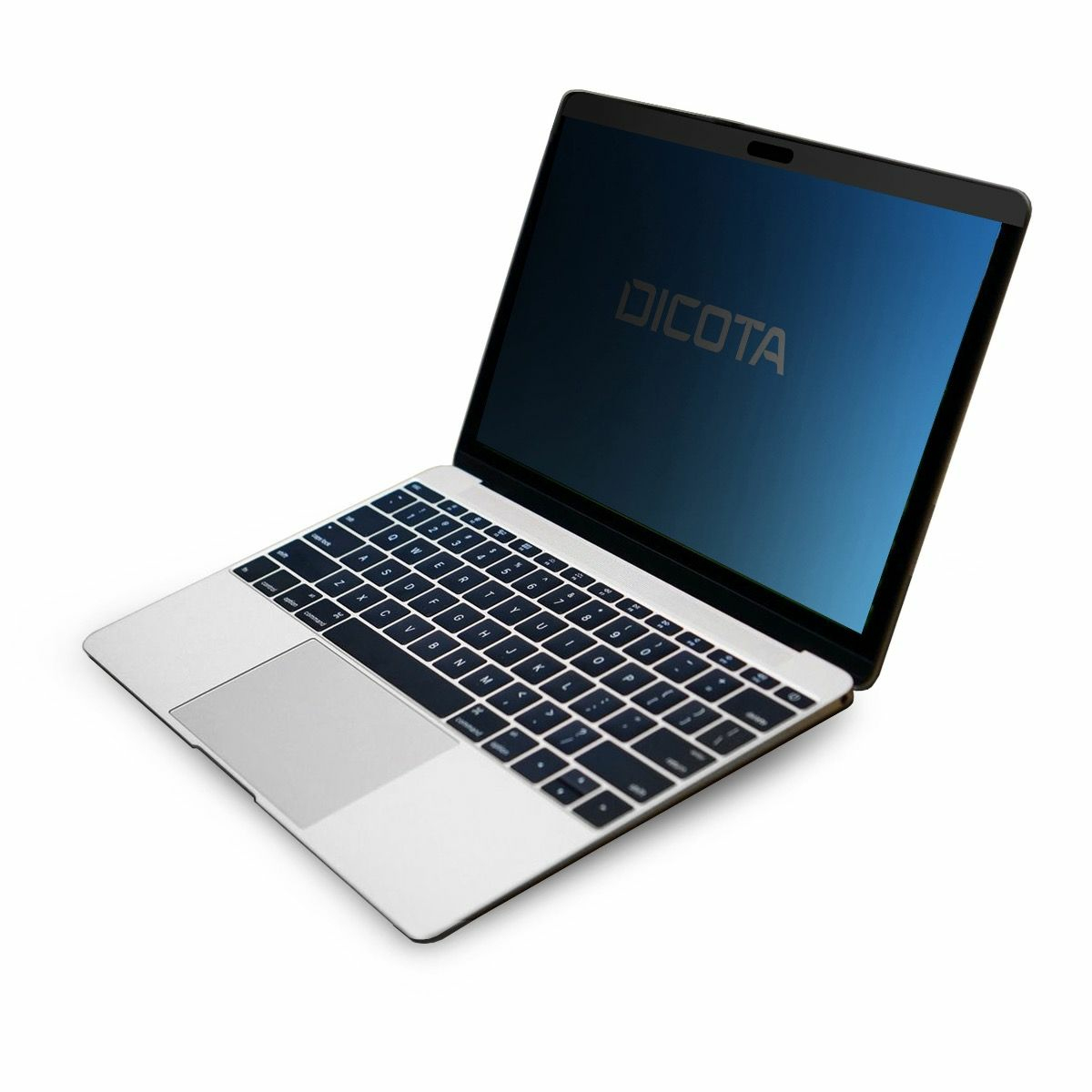 Dicota Secret - Blickschutzfilter für Notebook - 2-Wege - entfernbar - magnetisch - 30.5 cm (12")