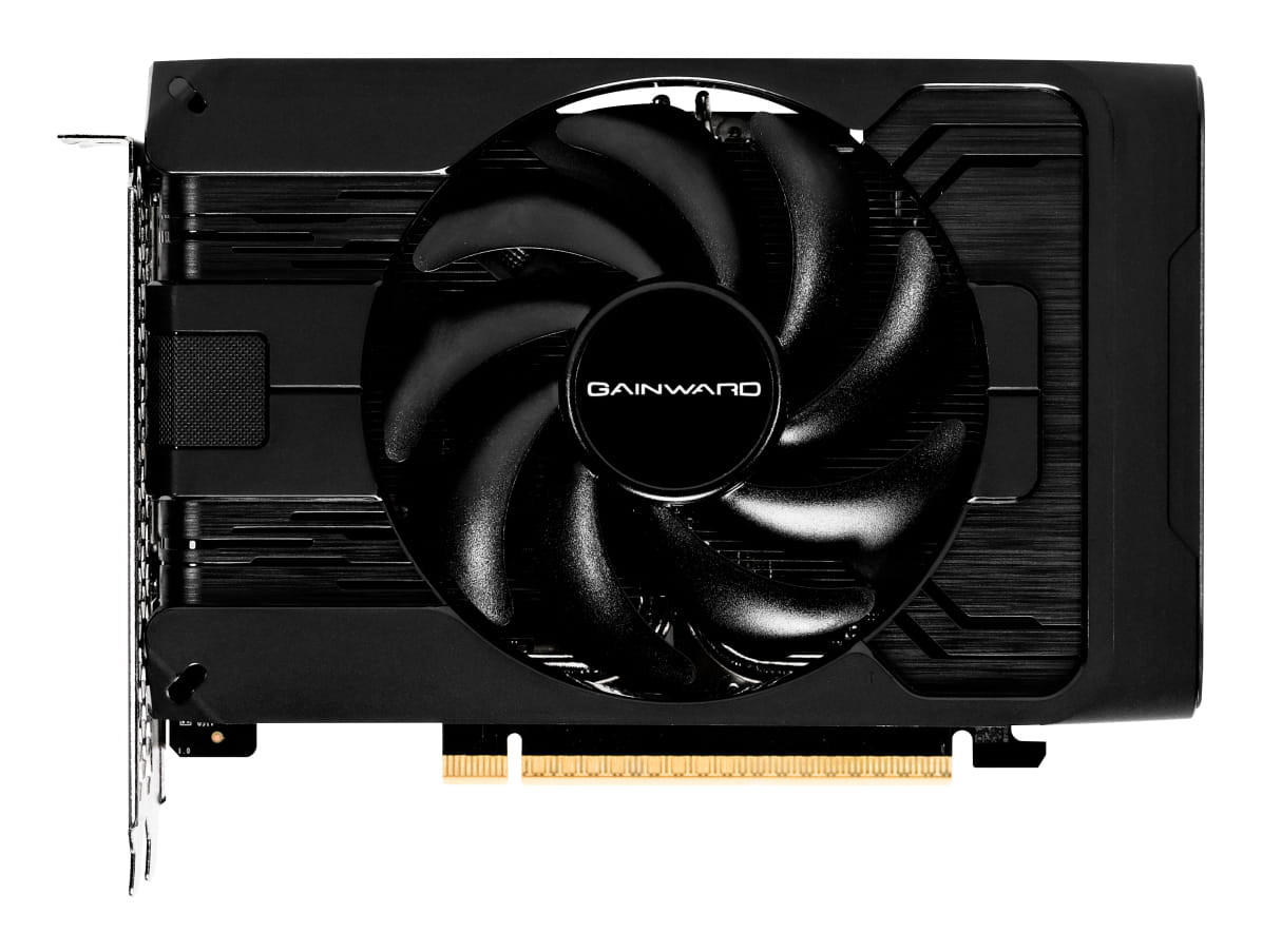 Gainward Pegasus - Grafikkarte - GeForce RTX