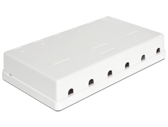 Delock Keystone Surface Mounted Box - Gehäuse