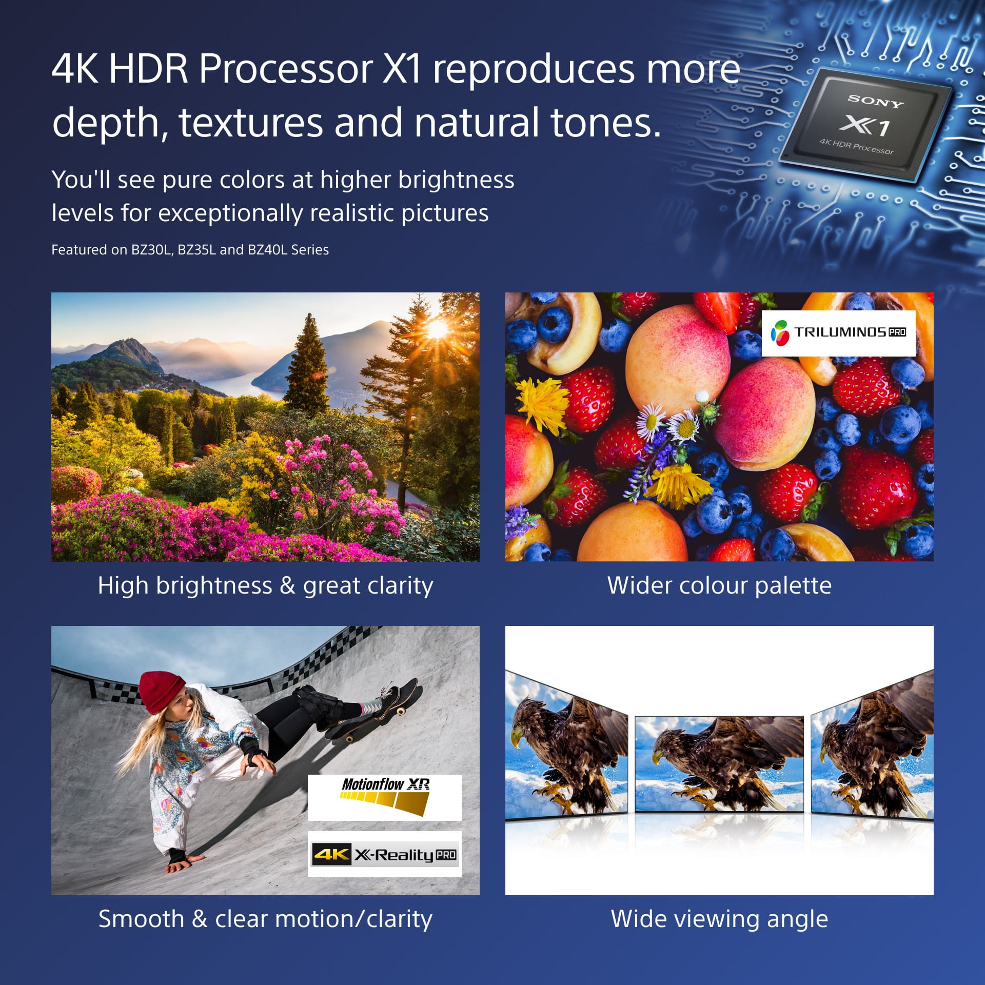Sony Bravia Professional Displays FW-55BZ40L - 139 cm (55")