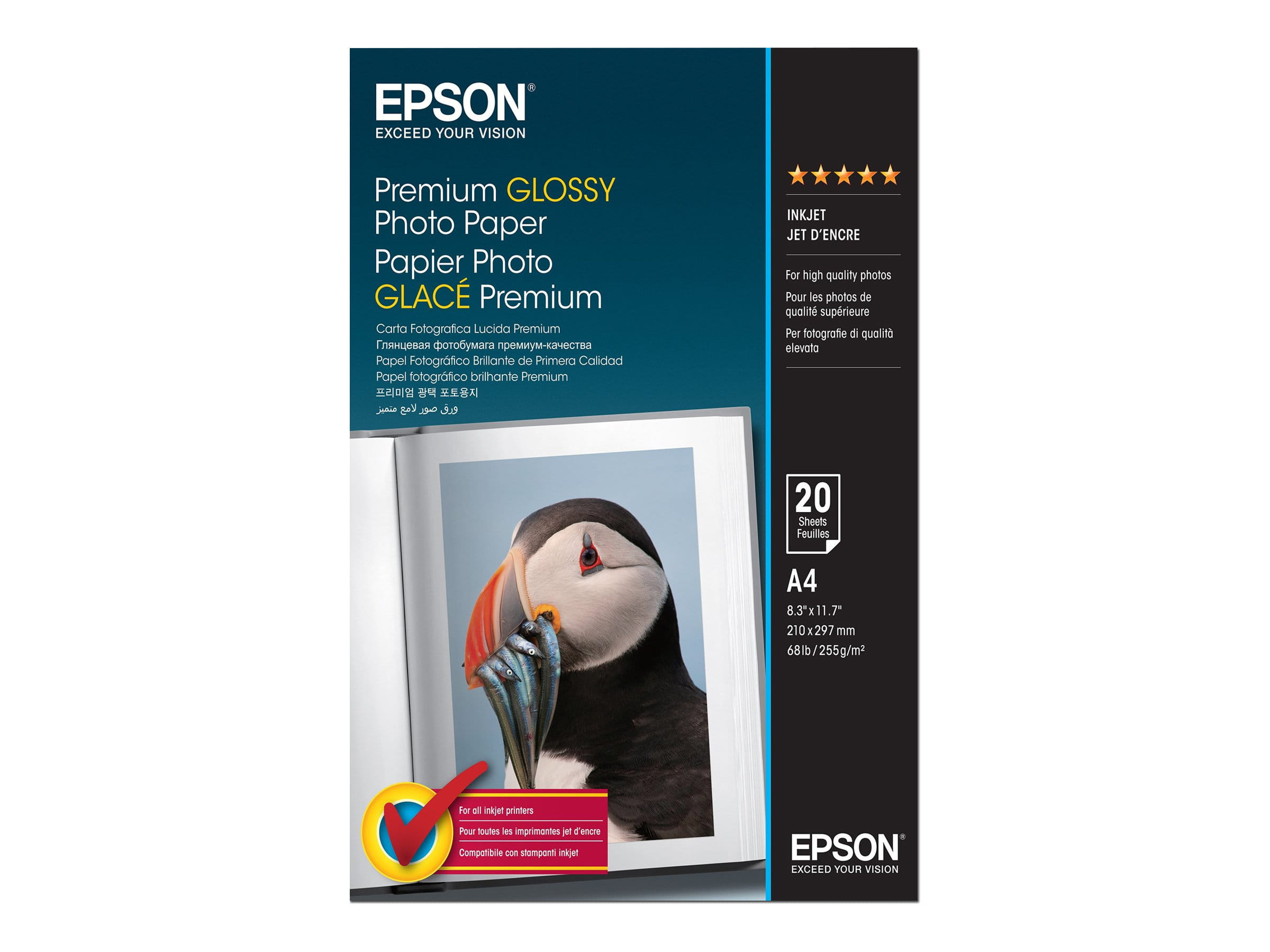 Epson Premium - Glänzend - A4 (210 x 297 mm)