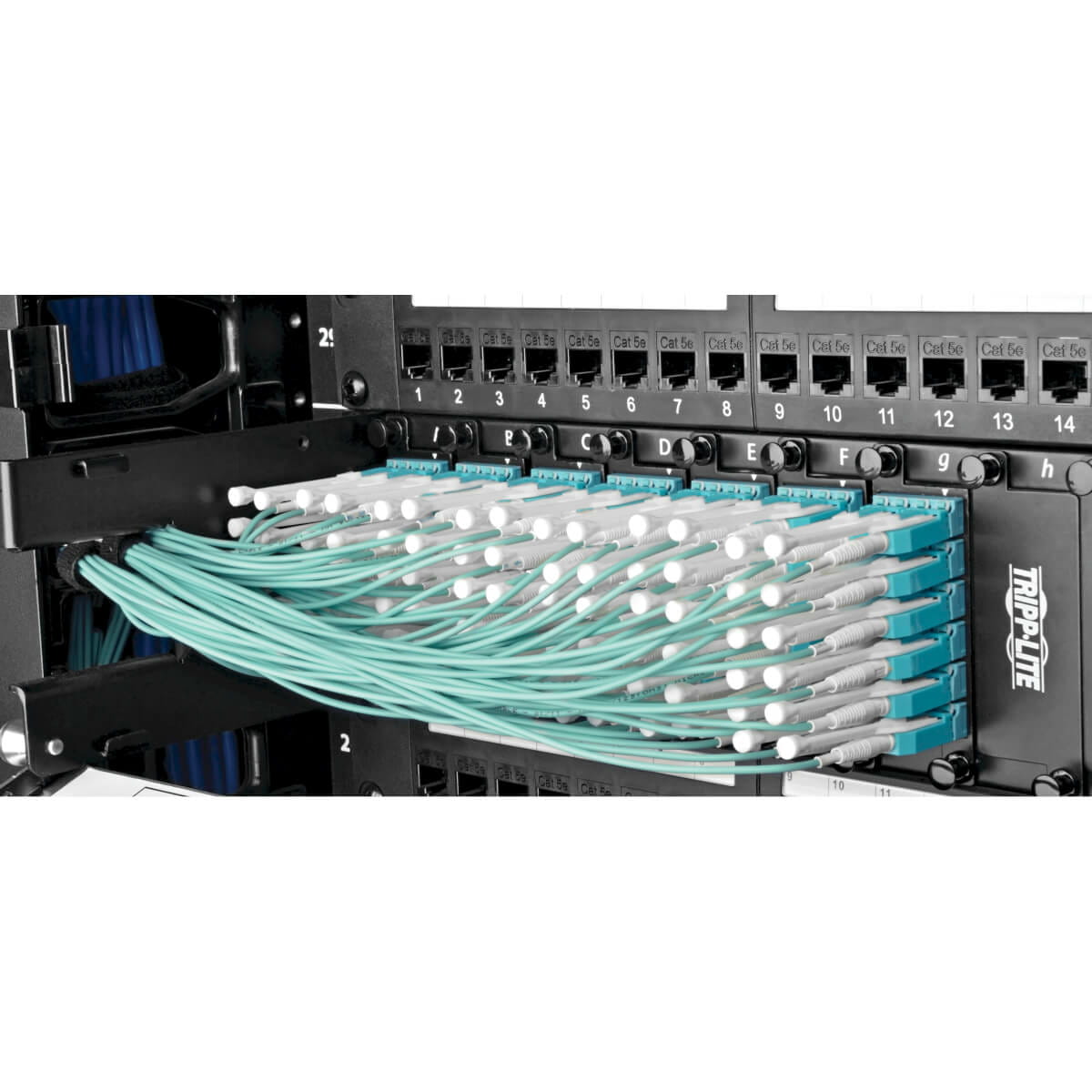 Tripp Eaton Tripp Lite Series MTP/MPO Fan-out Cable with Push/Pull Tab Connectors, MTP/MPO to 4xLC, 40GbE, 40GBASE-SR4,OM3 Plenum-rated - Aqua, 3M (9.84 ft.)