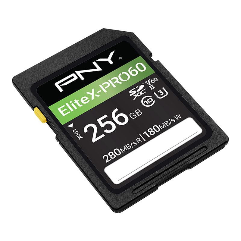 PNY EliteX-PRO60 - Flash-Speicherkarte - 256 GB