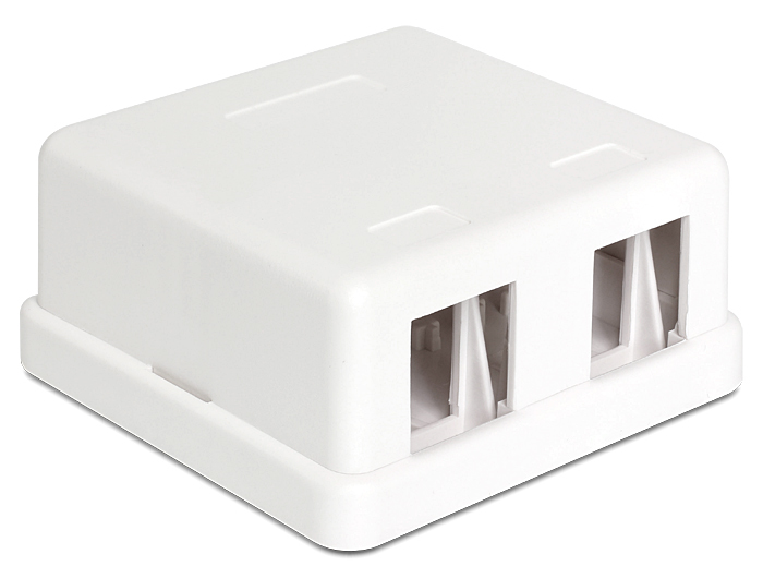 Delock Keystone Surface Mounted Box - Gehäuse