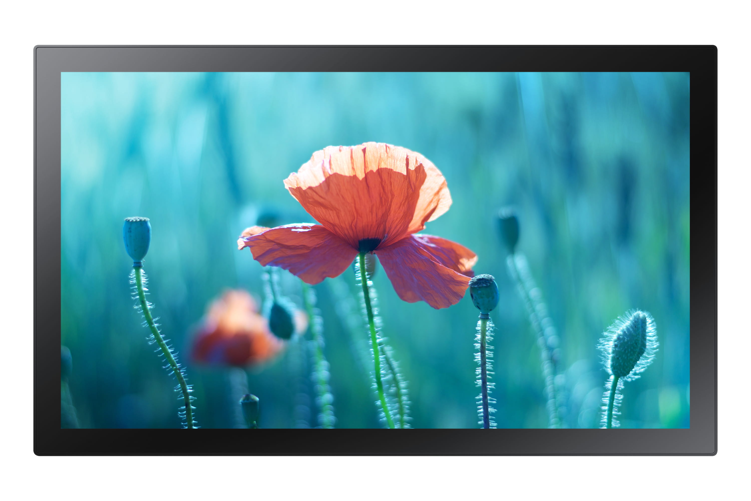 Samsung QB13R-TM - 33 cm (13") Diagonalklasse (33.7 cm (13.27") Samsung QB13R-TM - 33 cm (13") Diagonalklasse (33.7 cm (13.27")
