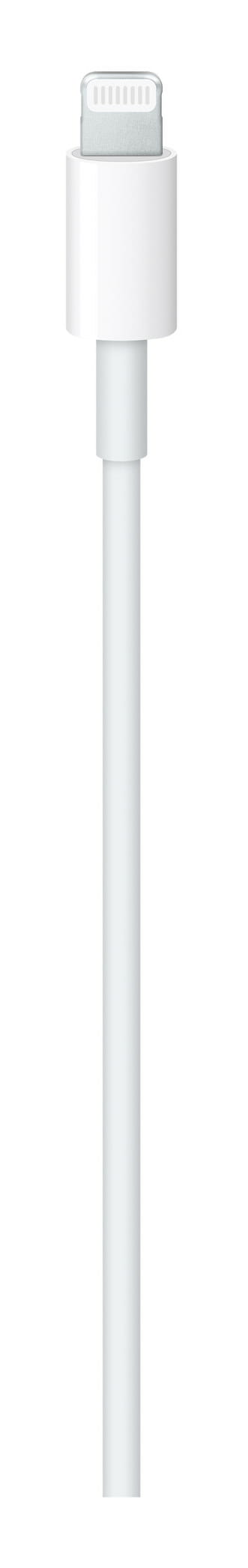 Apple Lightning-Kabel - USB-C männlich zu Lightning