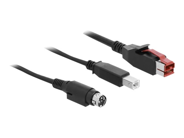 Delock Powered USB-Kabel - USB PlusPower (24 V)