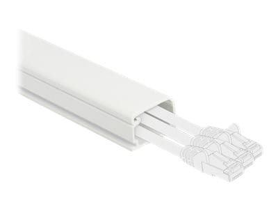 Delock Kabelkanal mit Abdeckung - 1 m - weiß