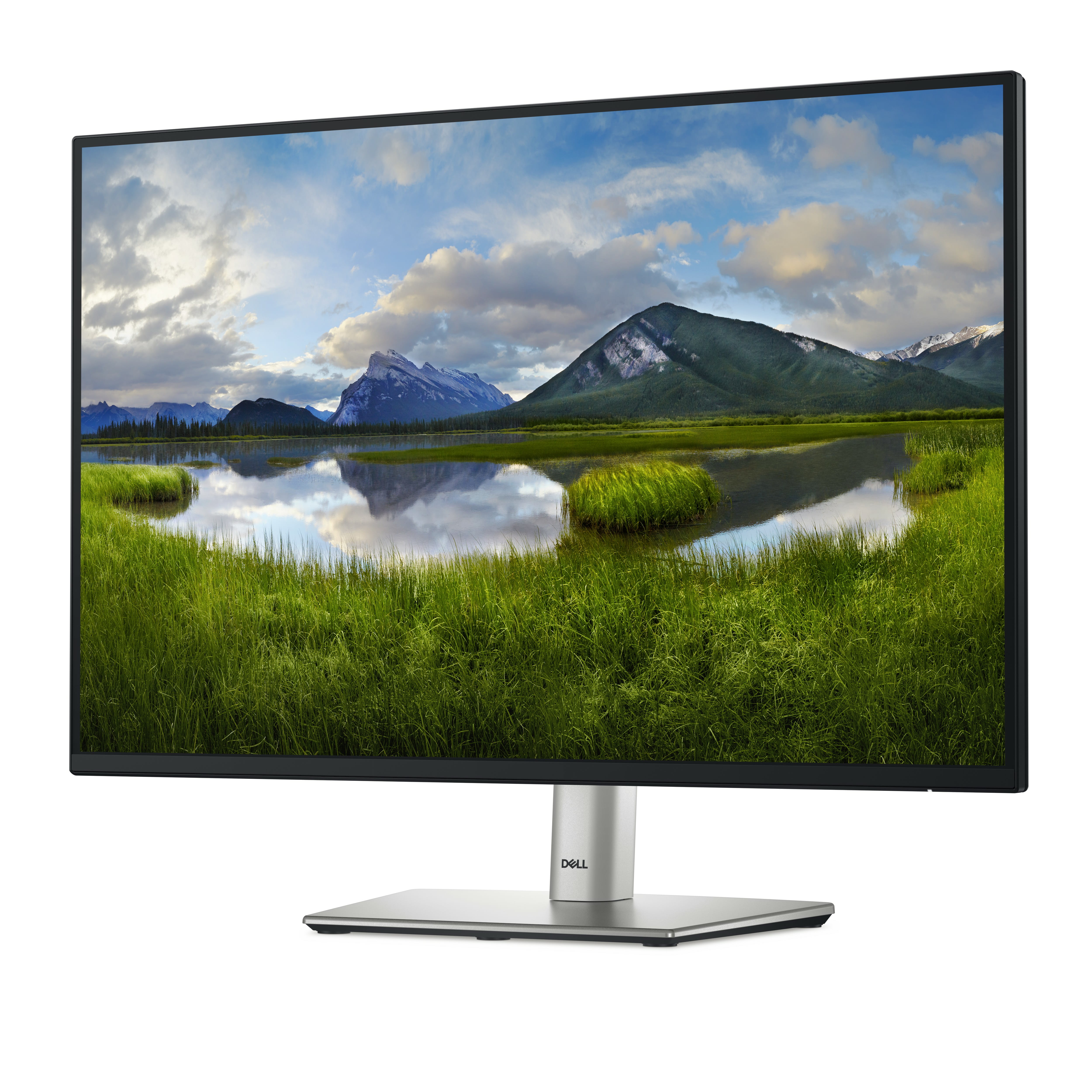 Dell P2425 - LED-Monitor - 61 cm (24") (24.07" sichtbar)