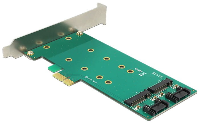 Delock PCI Express Card > 2 x internal M.2