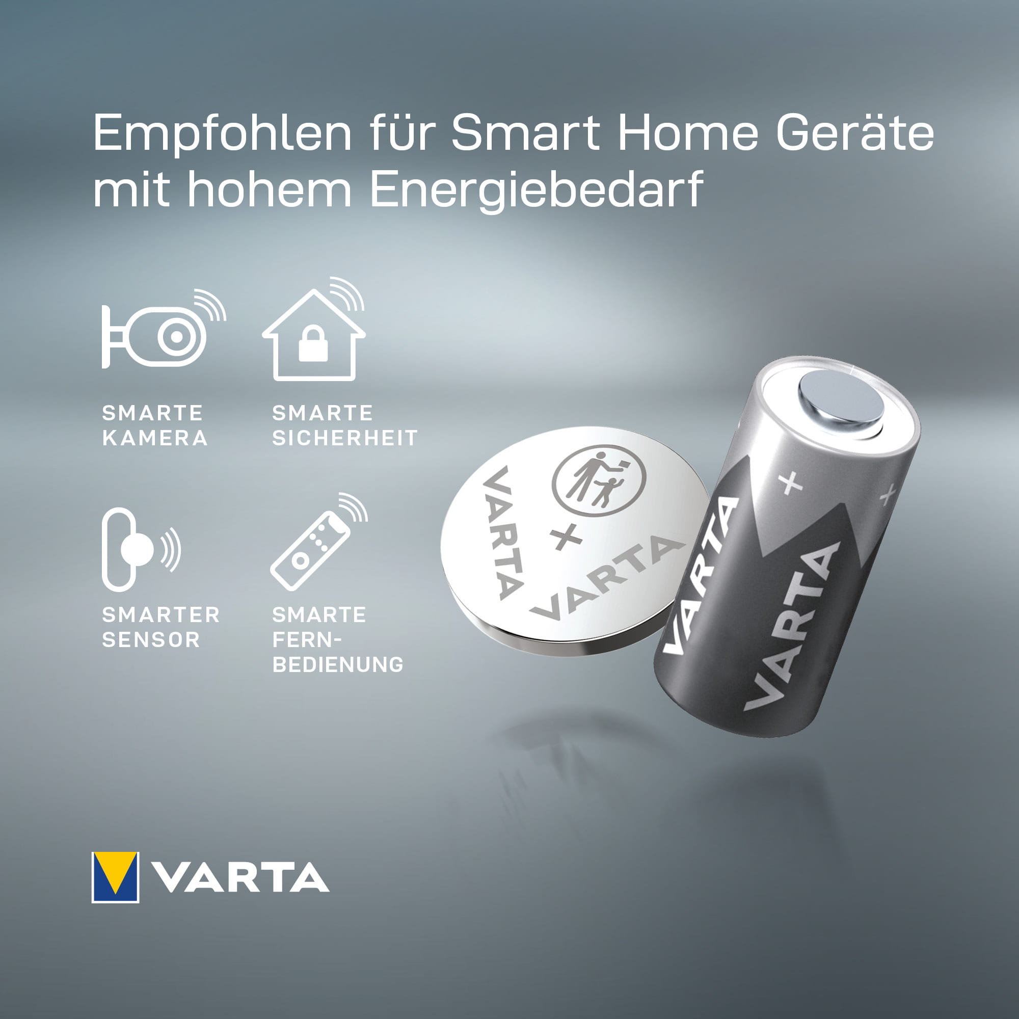 Varta Professional - Batterie 2CR5 - Li - 1600