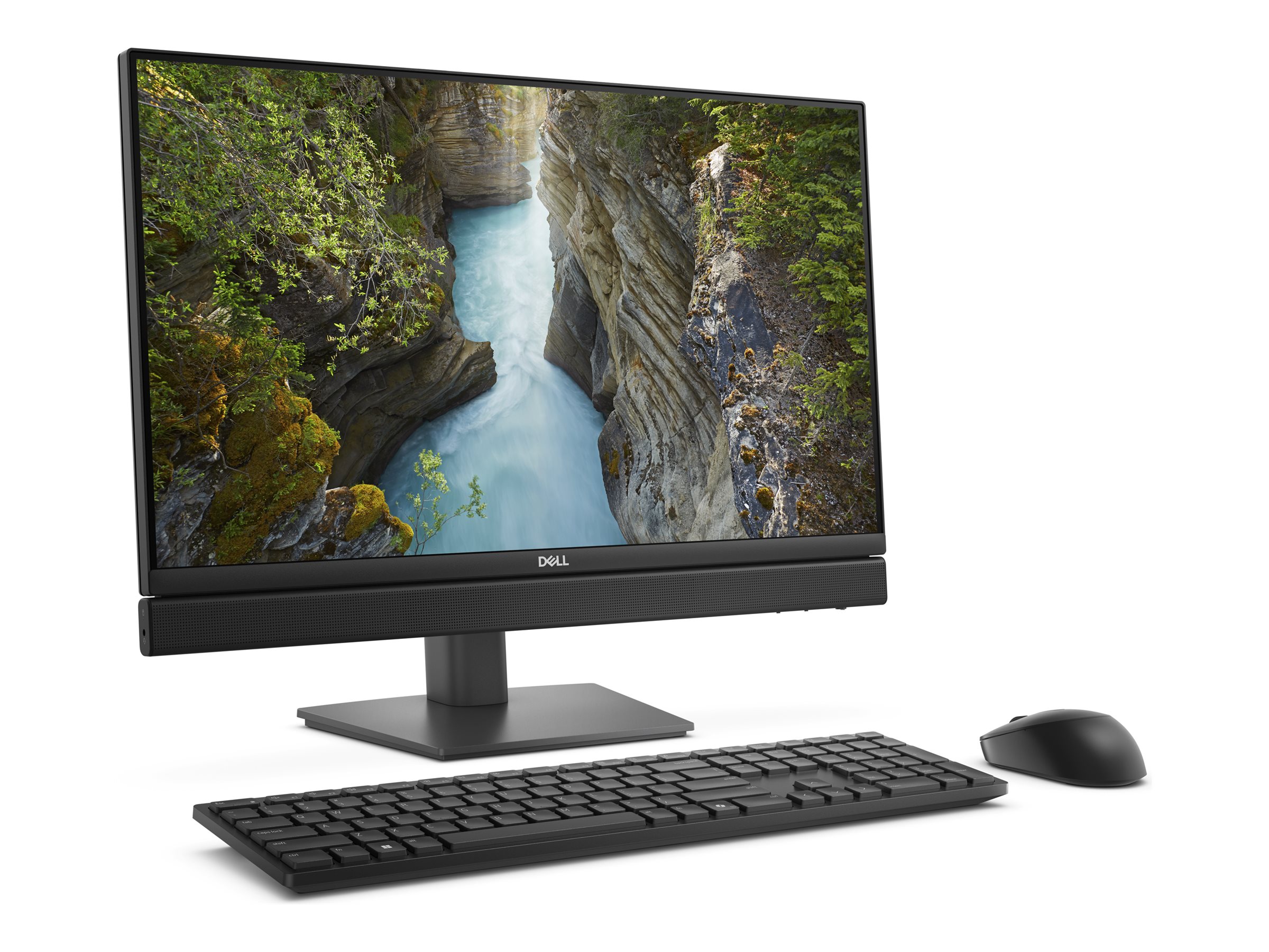 Dell Pro 24 All-in-One QC24251 - All-in-One