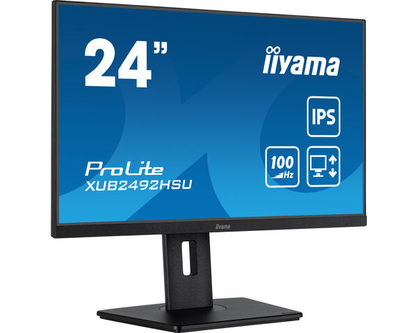 Iiyama ProLite XUB2492HSU-B6 - LED-Monitor - 61 cm (24")