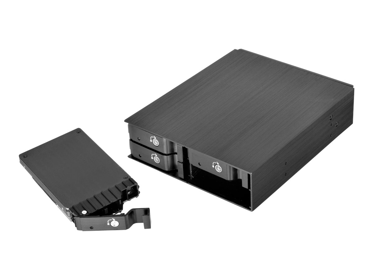 SilverStone FS204 - Gehäuse für Speicherlaufwerke - 2.5" (6.4 cm)