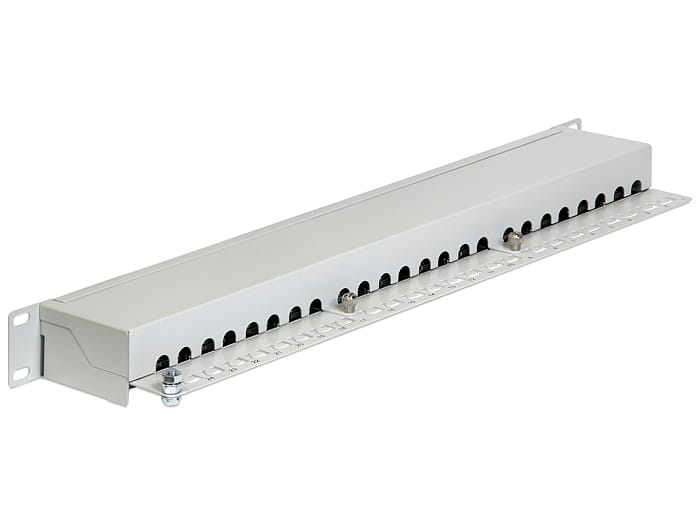 Delock Patch Panel - CAT 6 - RJ-45 X 24 - Hellgrau - 1U - 48.3 cm (19")
