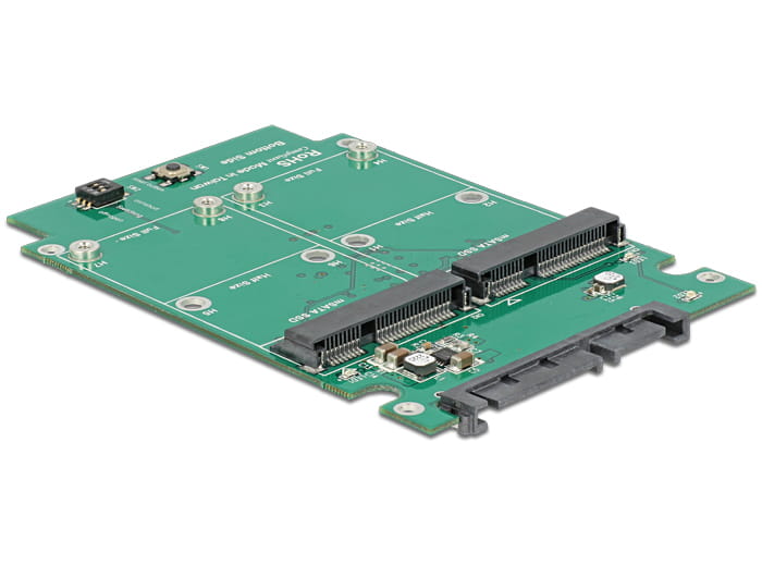 Delock Speichercontroller (RAID) - mSATA