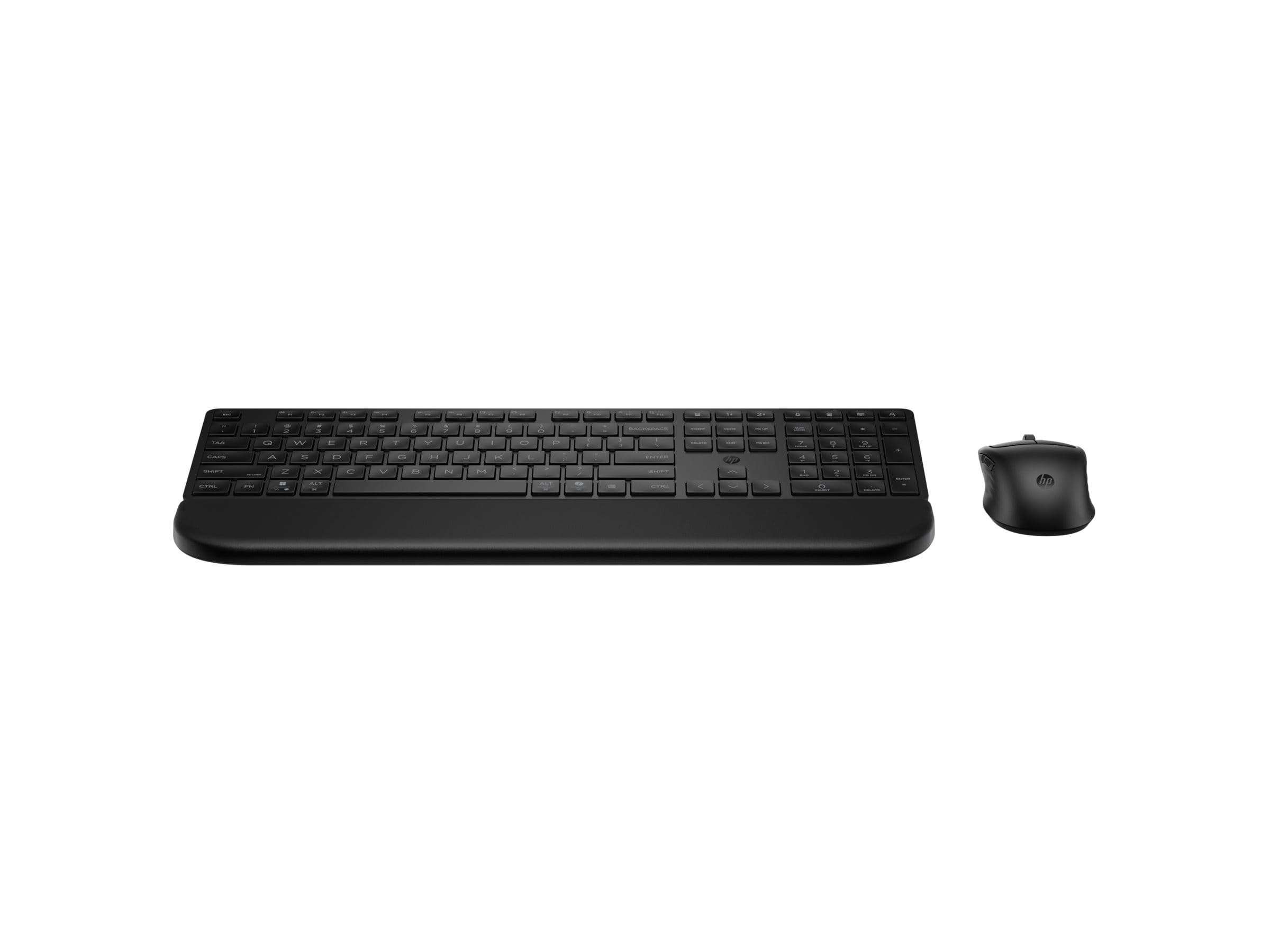 HP 585C - Tastatur-und-Maus-Set - Dual-Modus