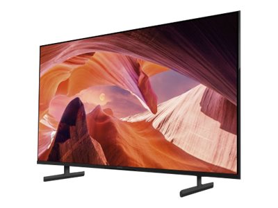 Sony Bravia Professional Displays FWD-43X80L - 108 cm (43")