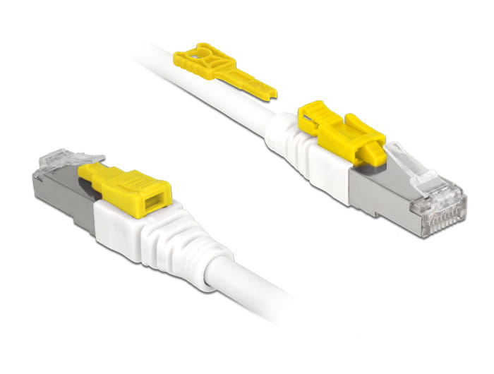 Delock Secure - Patch-Kabel - RJ-45 (M) bis RJ-45 (M)