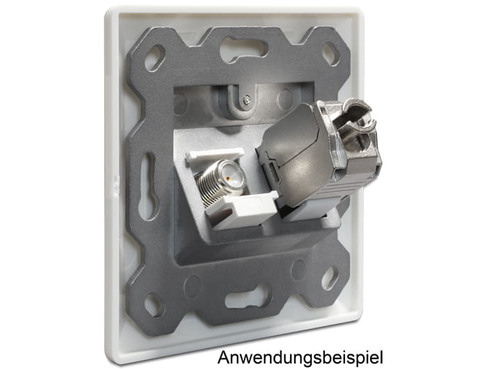 Delock Keystone Wall Outlet - Wanddose - weiß