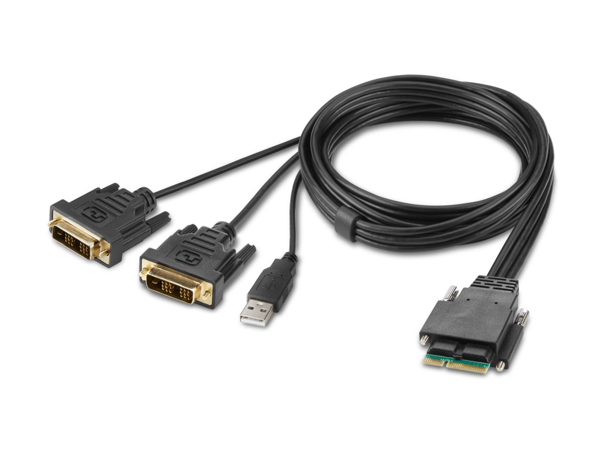 Belkin Secure Modular DVI Dual Head Host Cable - Video- / USB-Kabel - TAA-konform - USB, DVI (M)