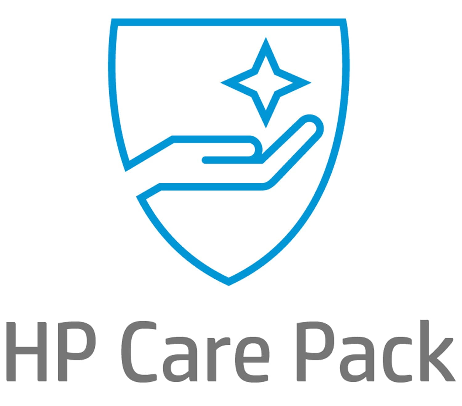 HP Electronic HP Care Pack Channel Remote Part Hardware