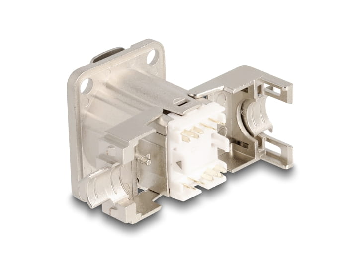 Delock Modulares Faceplate-Snap-In - D-Typ
