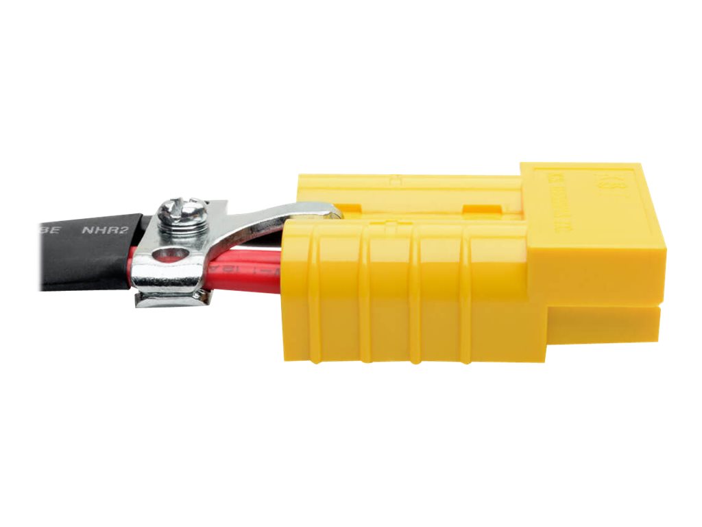 Tripp Eaton Tripp Lite Series Power Cable Kit for Healthcare Power Modules/Inverters/Chargers, 3 ft. (0.91 m)