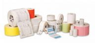 Zebra Z-Band Direct Infant - Polypropylen (PP)
