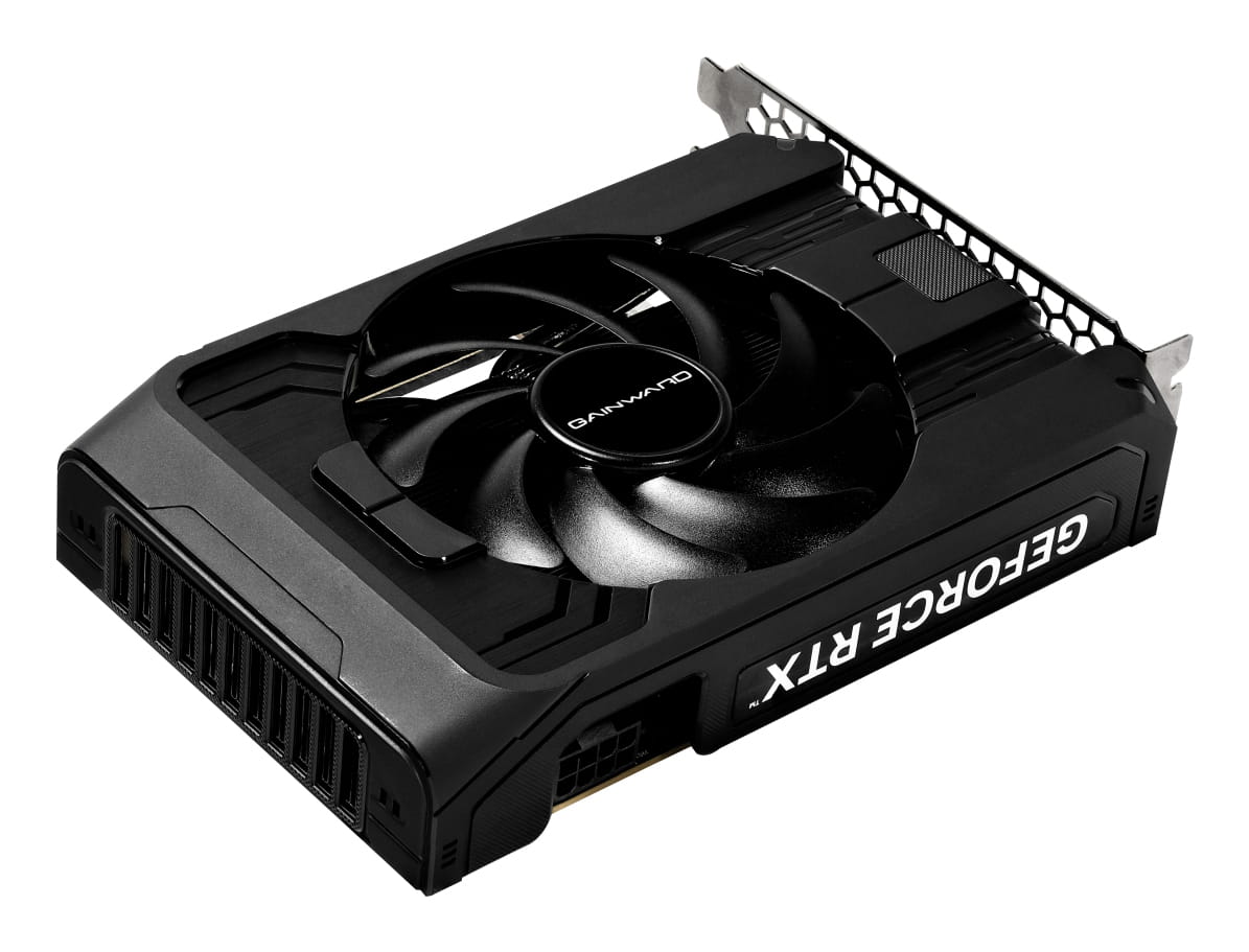 Gainward Pegasus - Grafikkarte - GeForce RTX