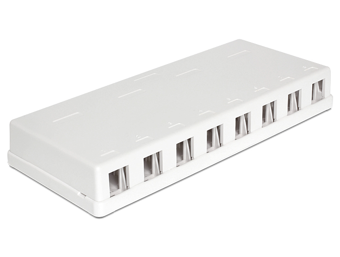 Delock Keystone Surface Mounted Box - Gehäuse