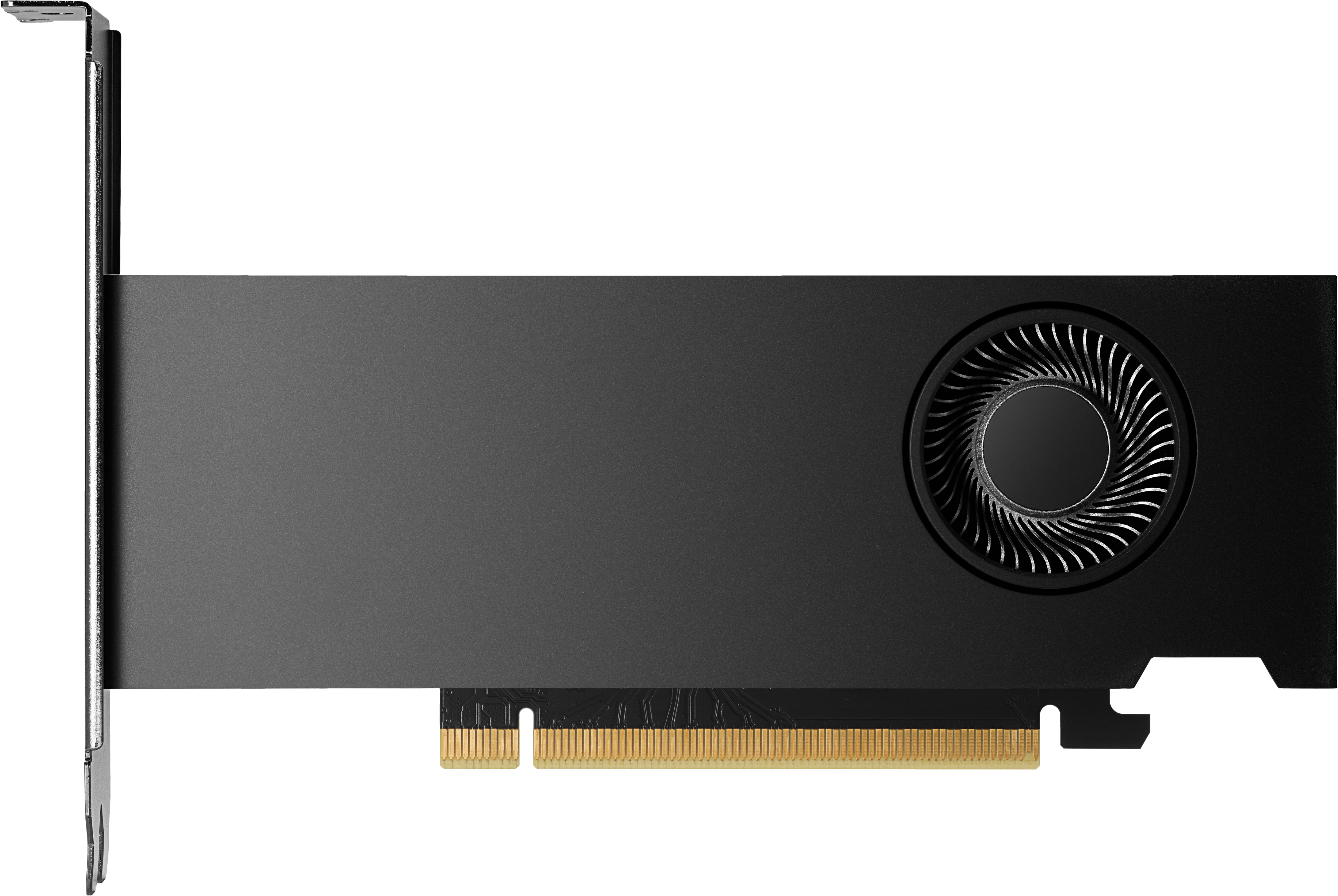 HP NVIDIA RTX - Grafikkarte - NVIDIA RTX 2000 Ada