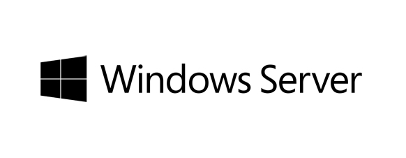 Fsas Technologies Microsoft Windows Server 2019 - Lizenz - 10 RDS user CALs