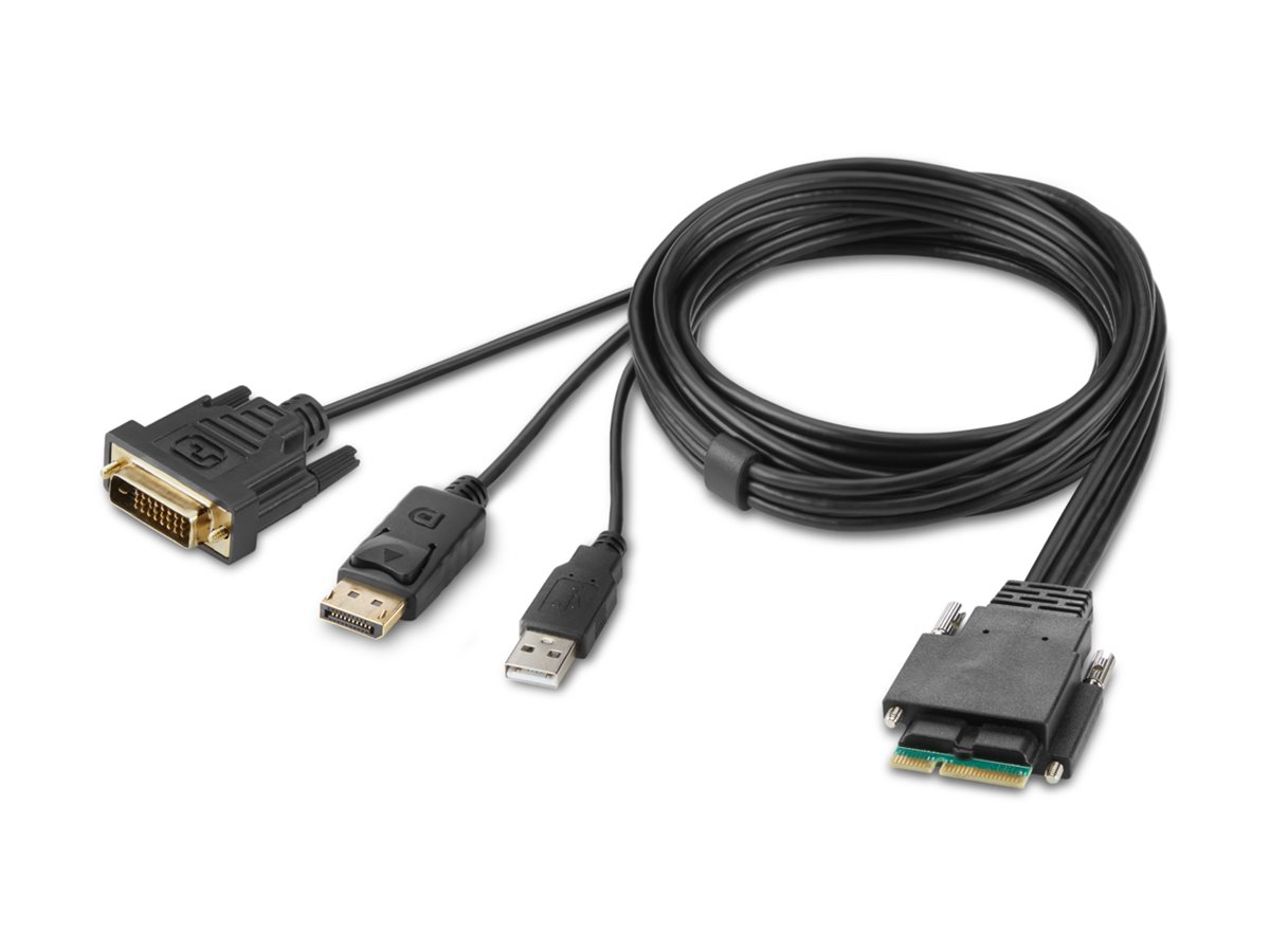 Belkin Secure Modular DVI and DP Dual Head Host Cable - Video- / USB-Kabel - TAA-konform - USB, DVI, DisplayPort (M)