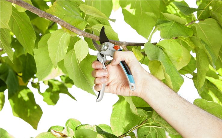 Gardena 08906-20, Bypass, Aluminium, Schwarz, Blau, Grau, Edelstahl, Schwarz/Edelstahl, CE