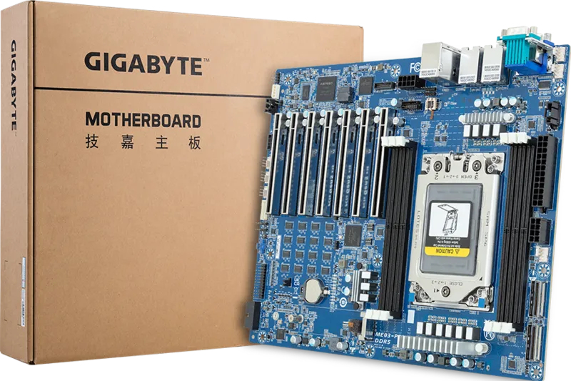 Gigabyte ME03-PE0, AMD, Socket SP6, AMD EPYC 8004, AMD EPYC 8005 Series, SP6, DDR5-SDRAM, DIMM