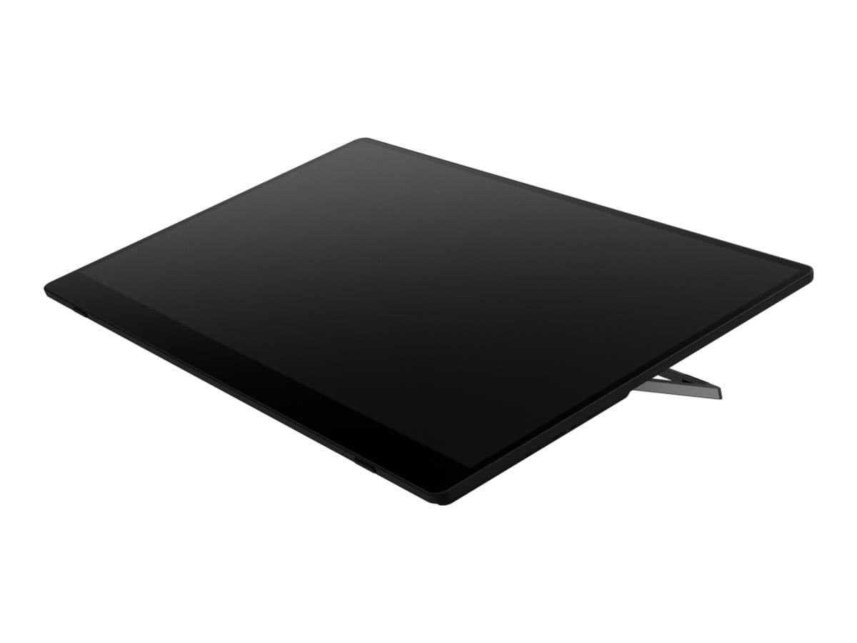 Fsas Technologies Ricoh 150BW - OLED-Monitor - 39.6 cm (15.6") (16" sichtbar)