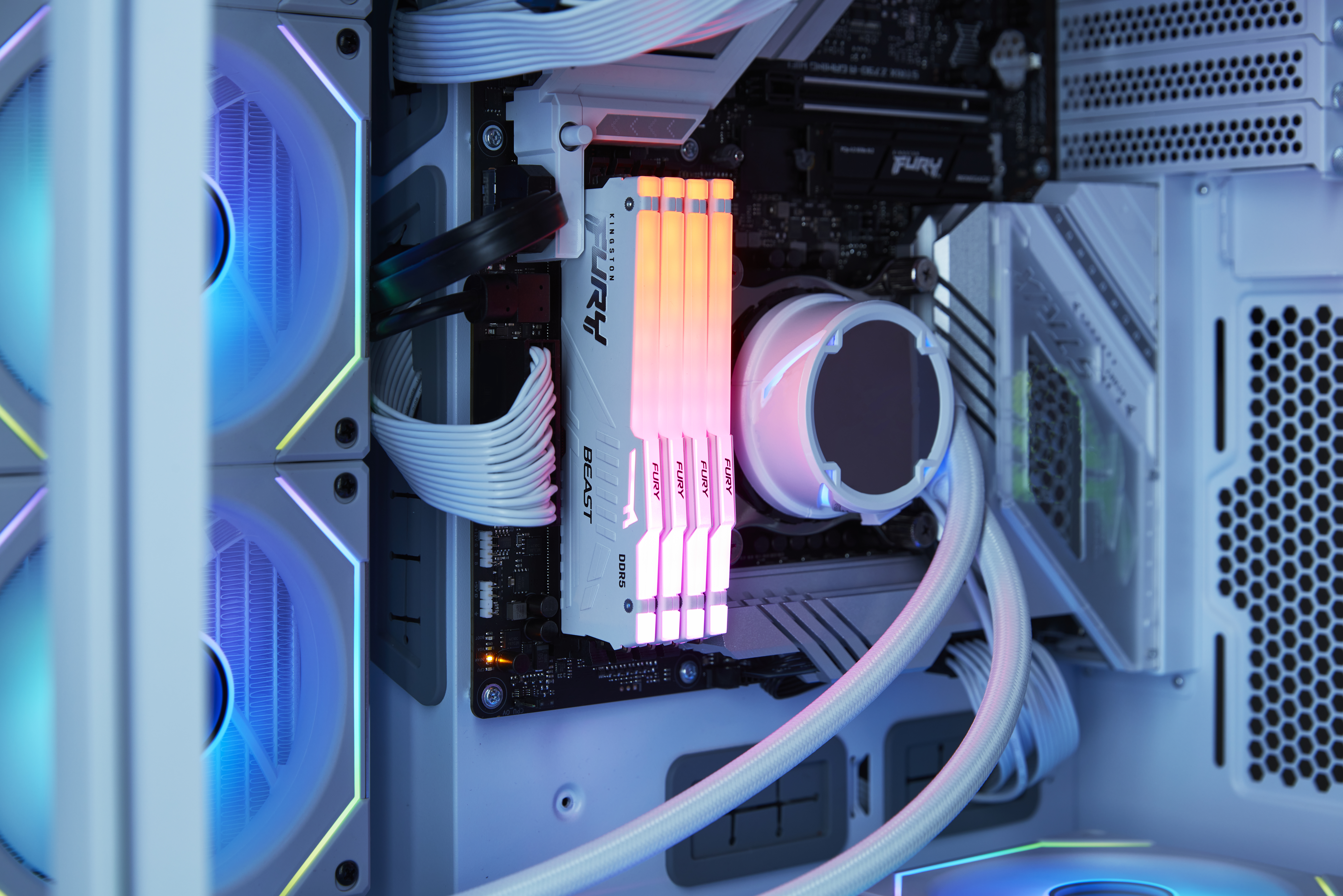 Kingston FURY Beast RGB - DDR5 - Modul - 32 GB